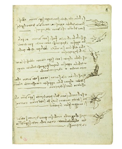Codex on the Flight of Birds, Folio 8 Recto by Leonardo da Vinci
